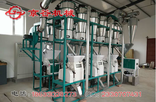 定州客户购买28吨小麦面粉机-01.jpg
