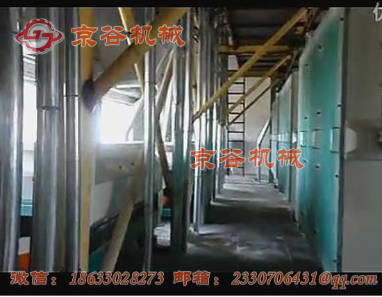 120T 小麦面粉机2.jpg