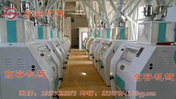 120T 小麦面粉机3.jpg